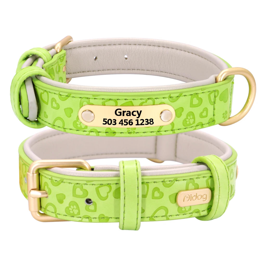 Padded Leather Dog Collar
