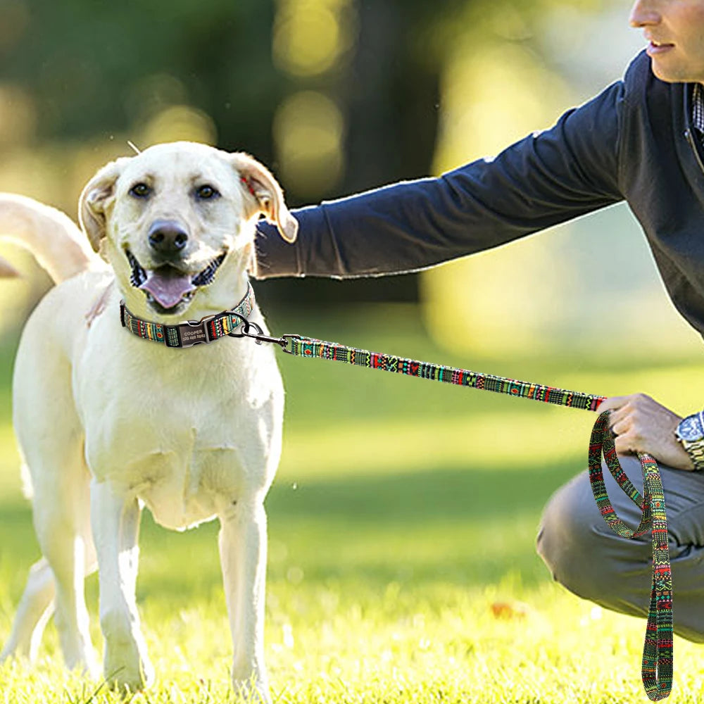 Dog Collar & Leash Set