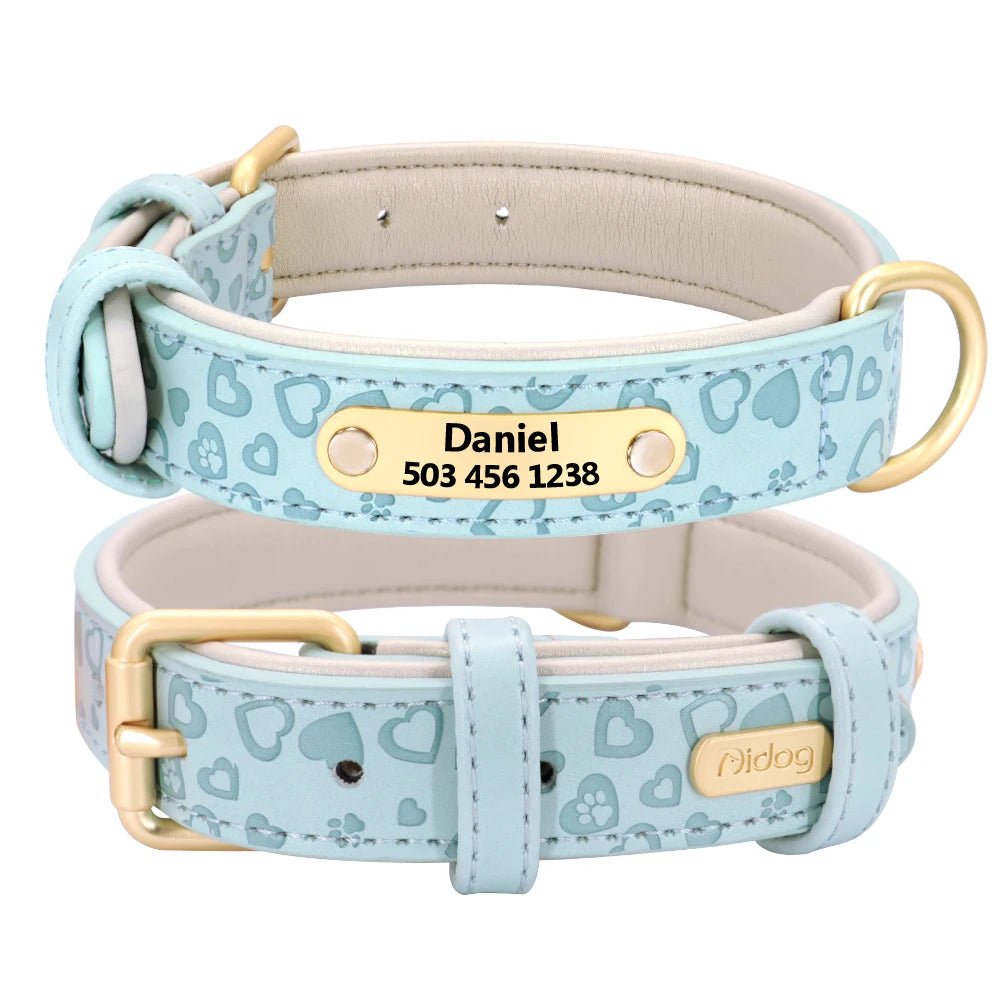 Padded Leather Dog Collar