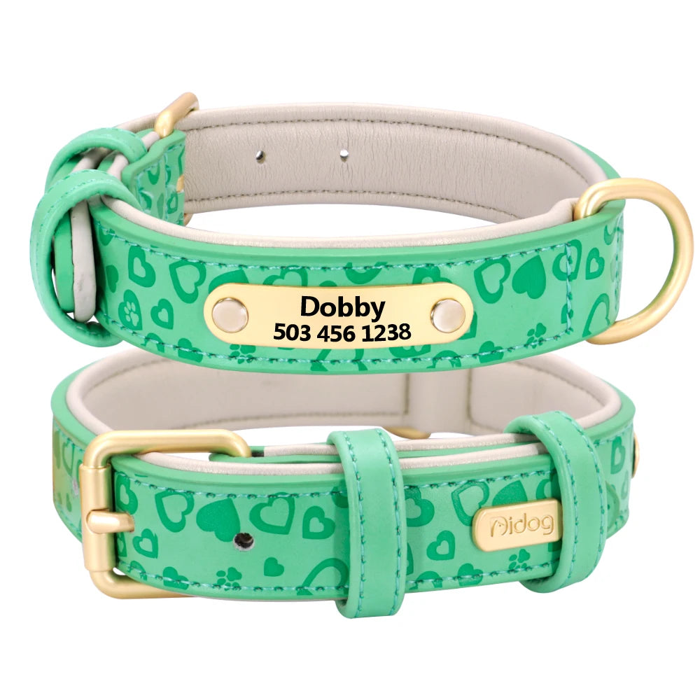 Padded Leather Dog Collar
