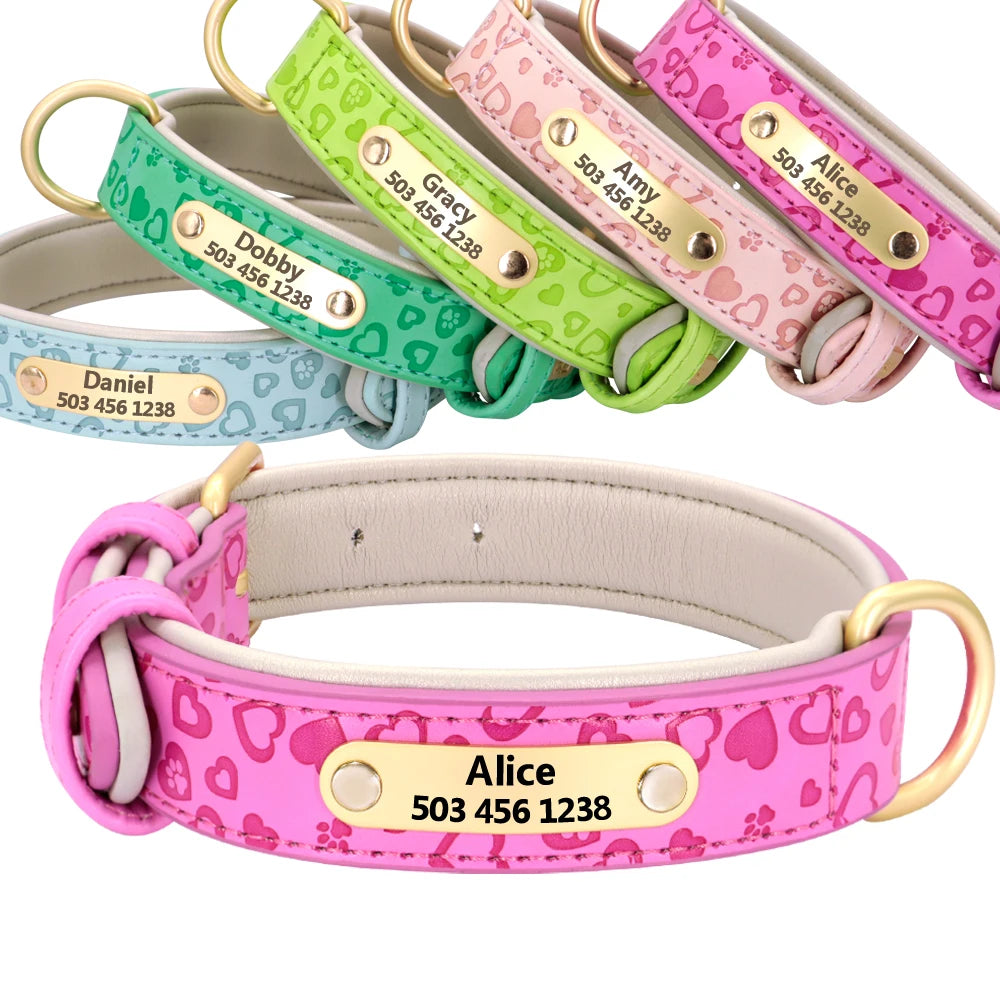 Padded Leather Dog Collar