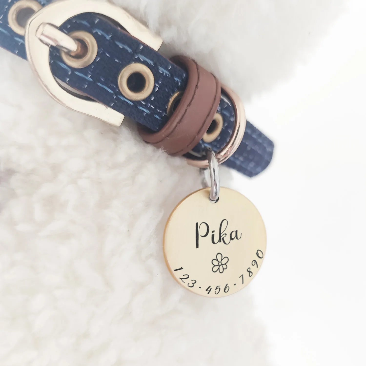 Stainless Steel Pet ID Name Tag