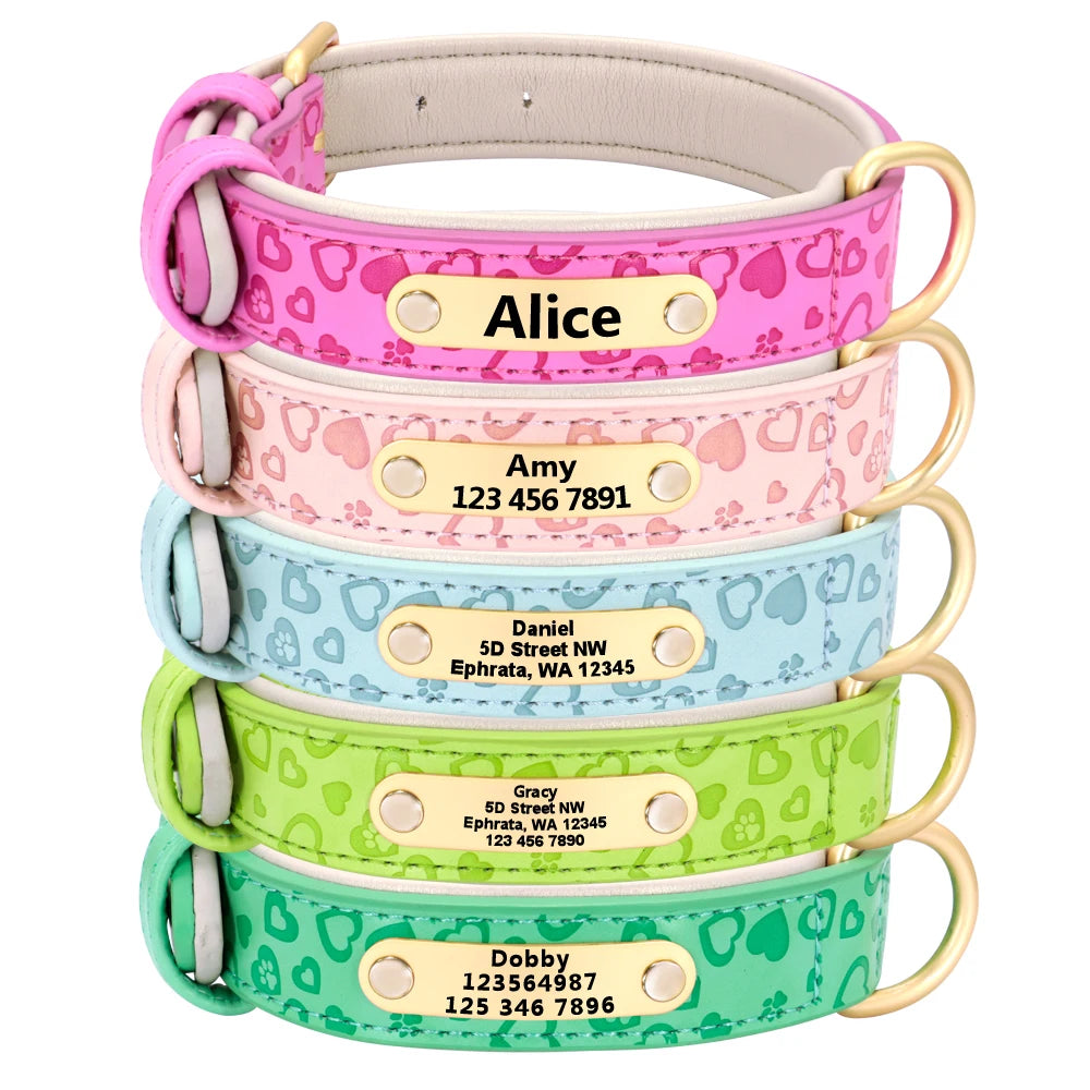 Padded Leather Dog Collar