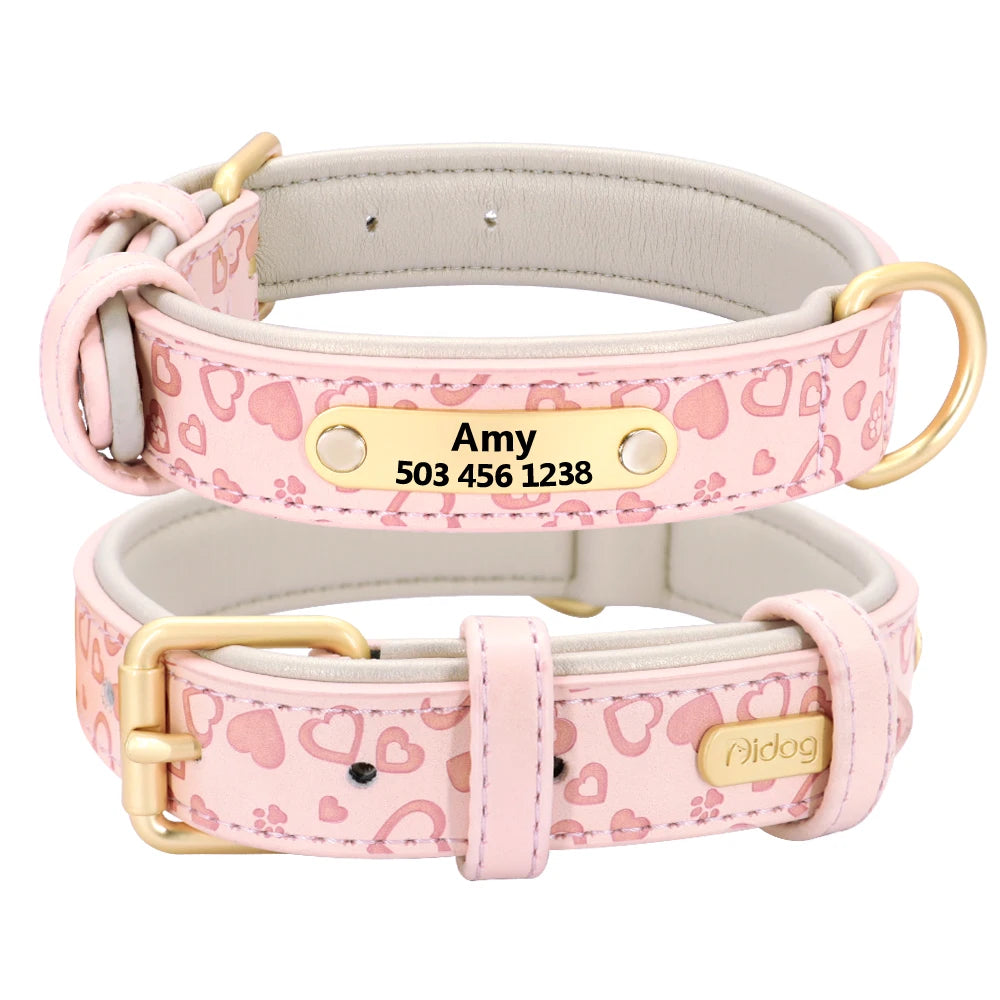 Padded Leather Dog Collar