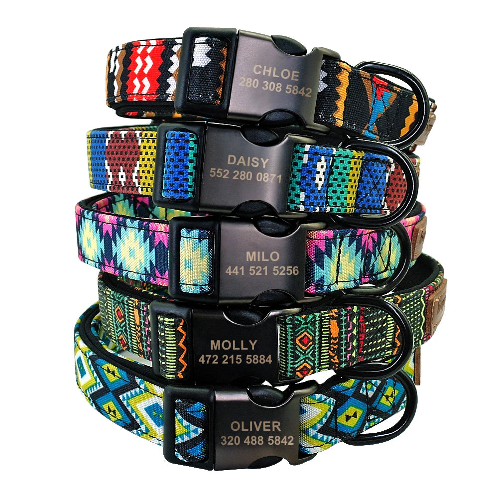 Dog Collar & Leash Set