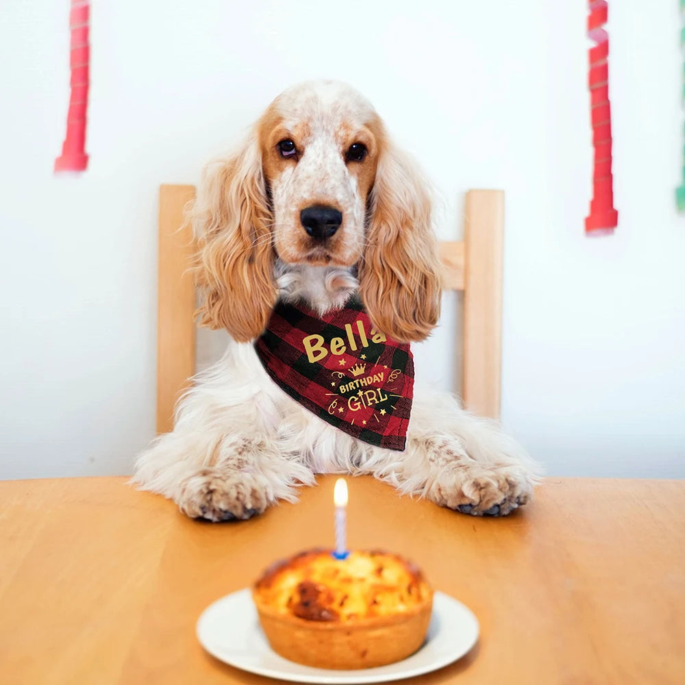 Birthday Bandana for Dogs