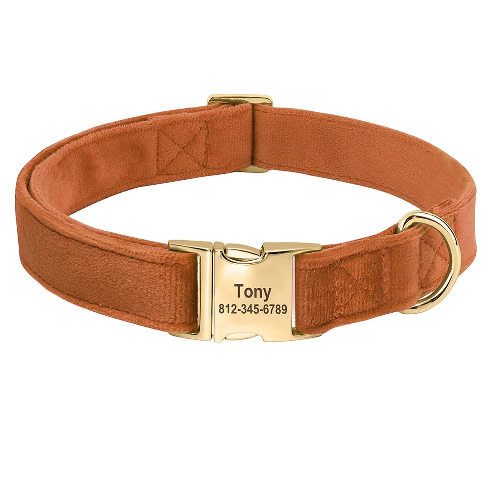 Velvet Dog ID Collar