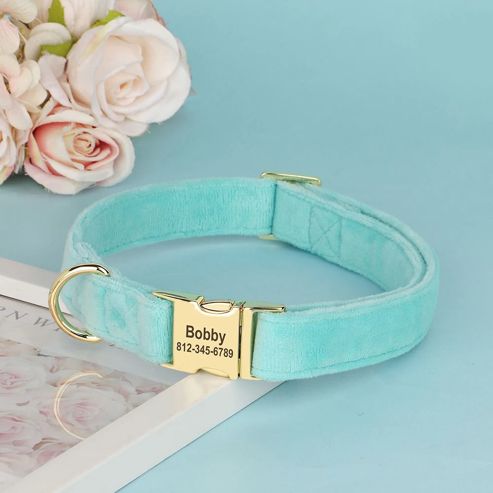 Velvet Dog ID Collar