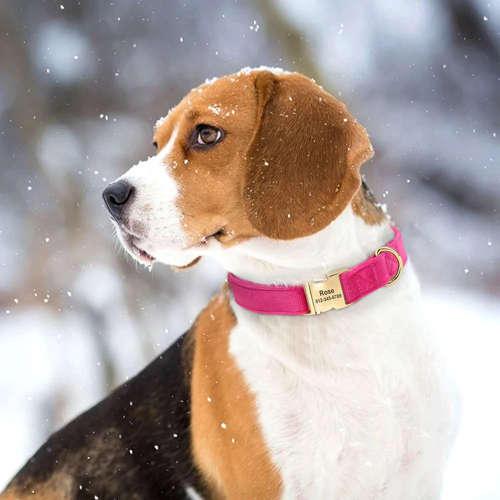 Velvet Dog ID Collar