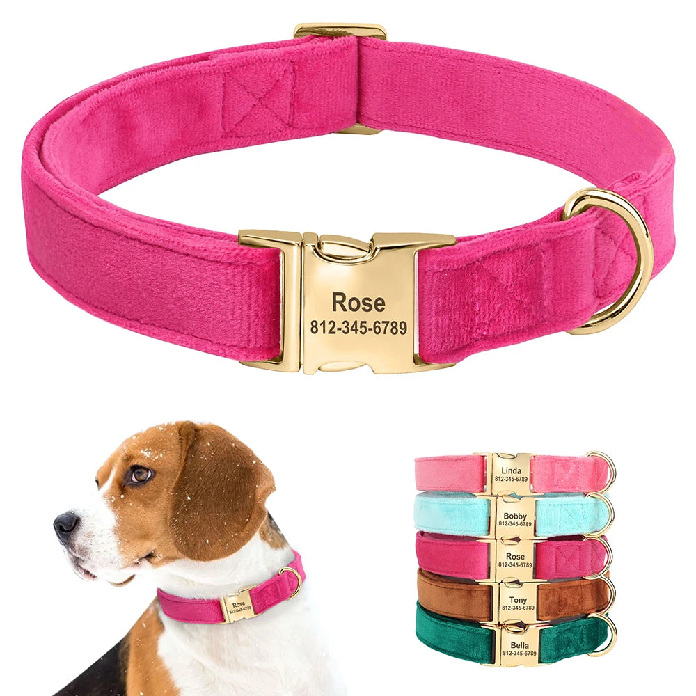 Velvet Dog ID Collar