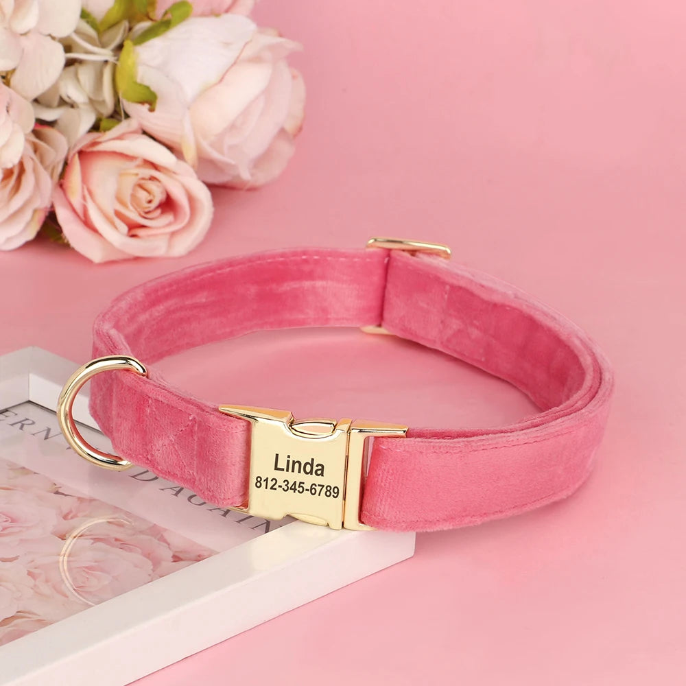Velvet Dog ID Collar