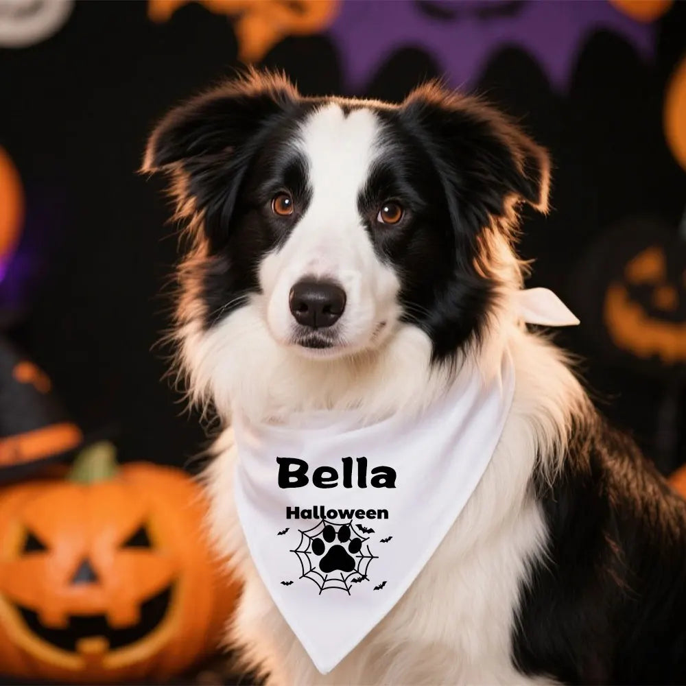 Halloween Bandanas for Pet
