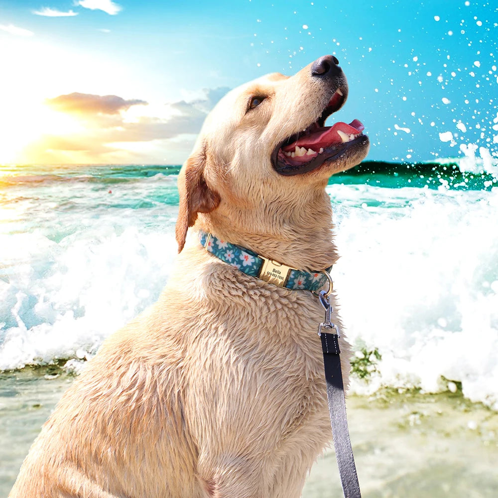Waterproof PVC Dog Collar