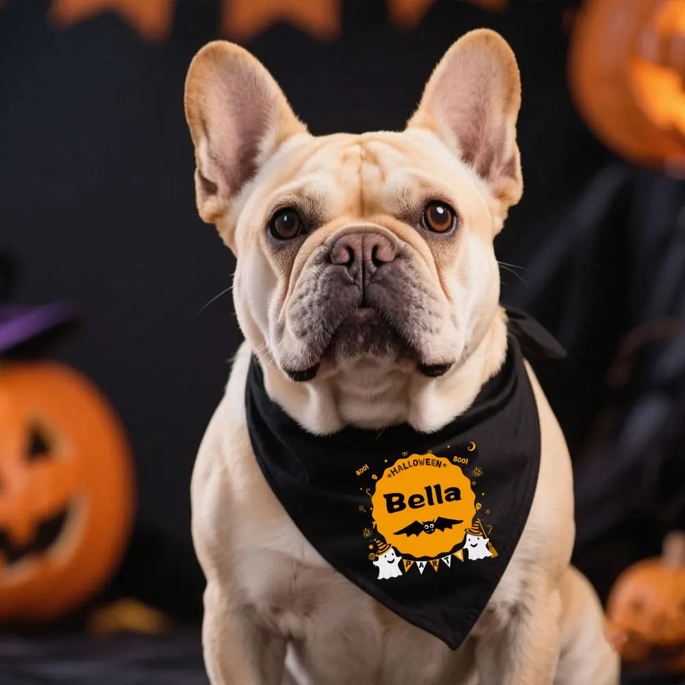 Halloween Bandanas for Pet