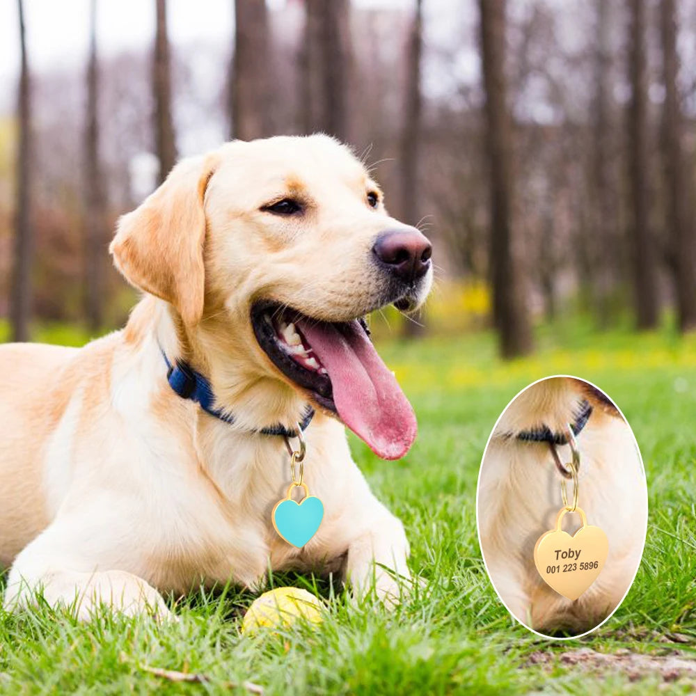 Heart-Shaped Pet ID Tag