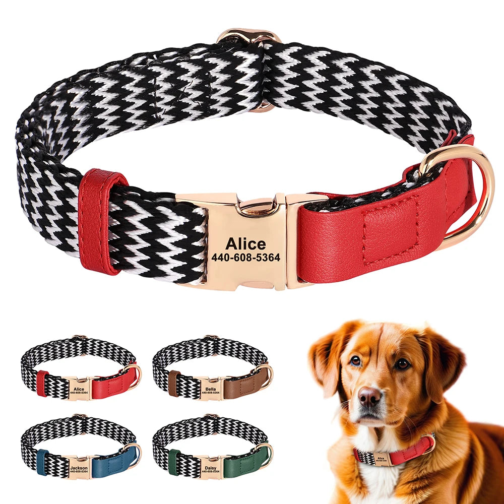 Nylon Dog Collar with Anti-Loss ID Tag
