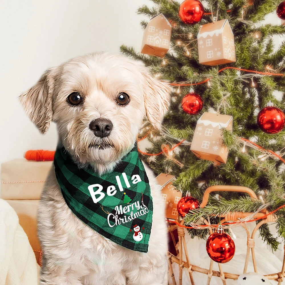 Birthday Bandana for Dogs