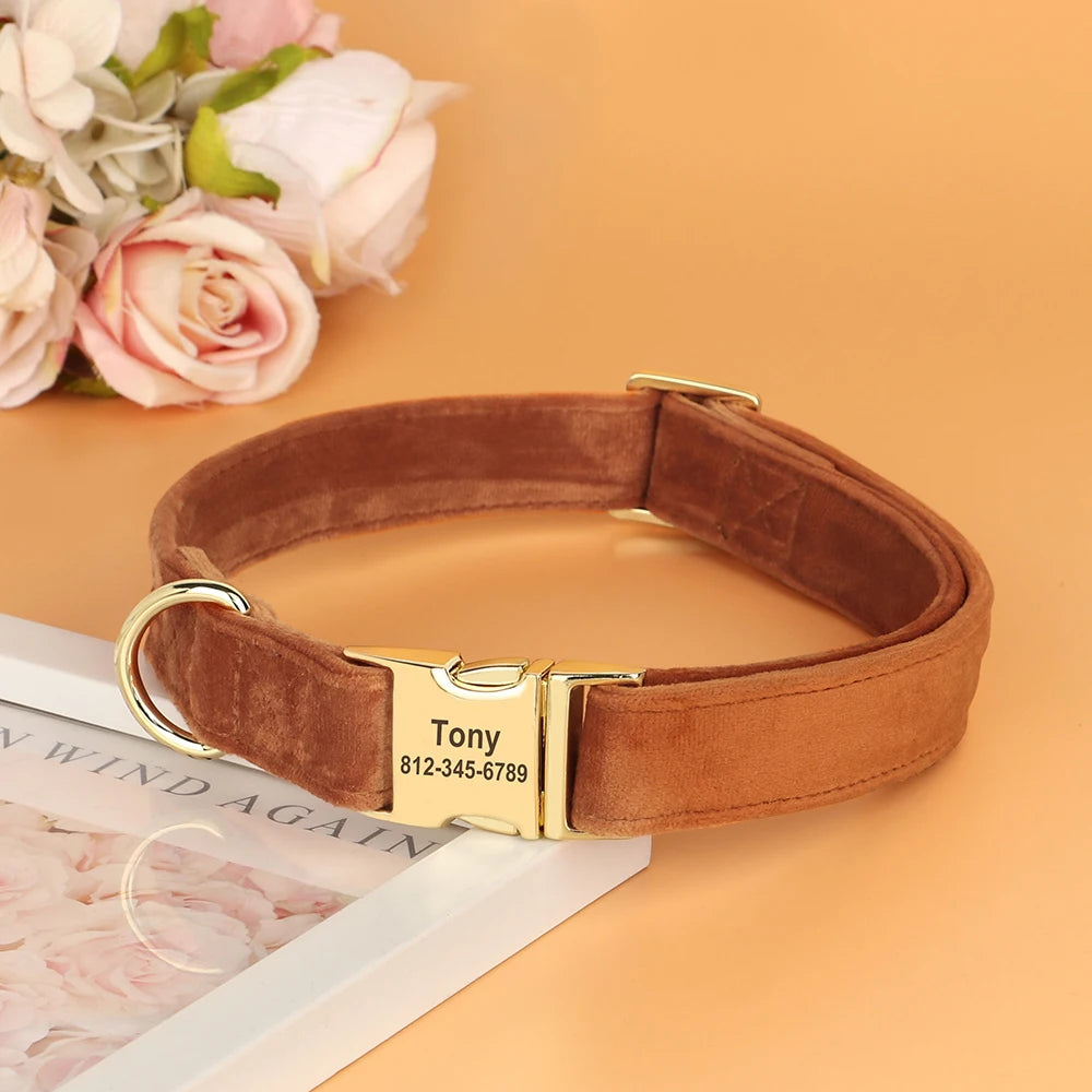 Velvet Dog ID Collar