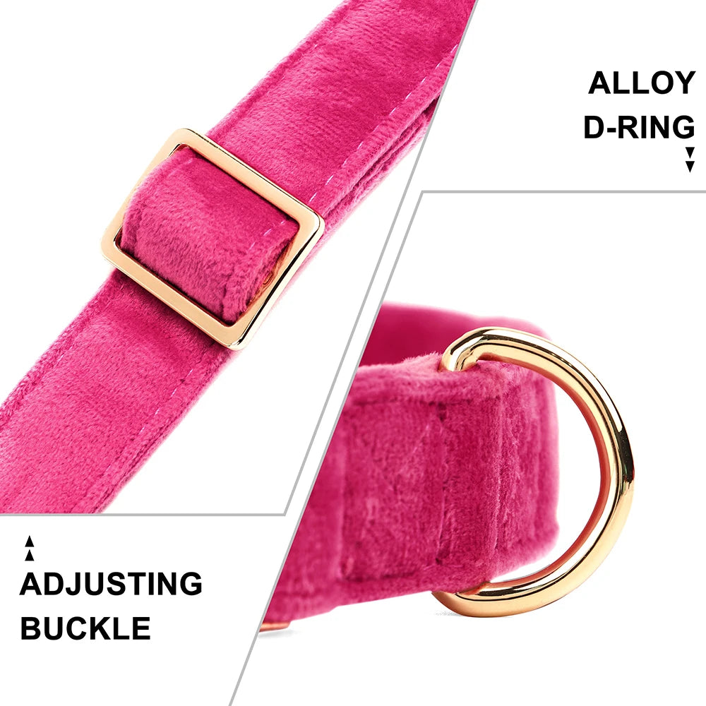Velvet Dog ID Collar