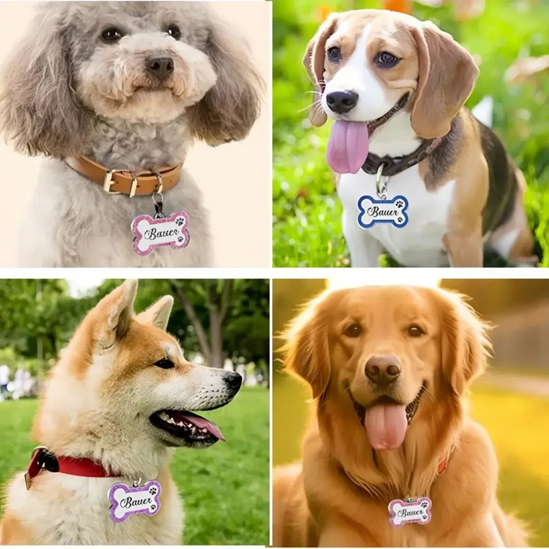 Paw Print Dog ID Tag