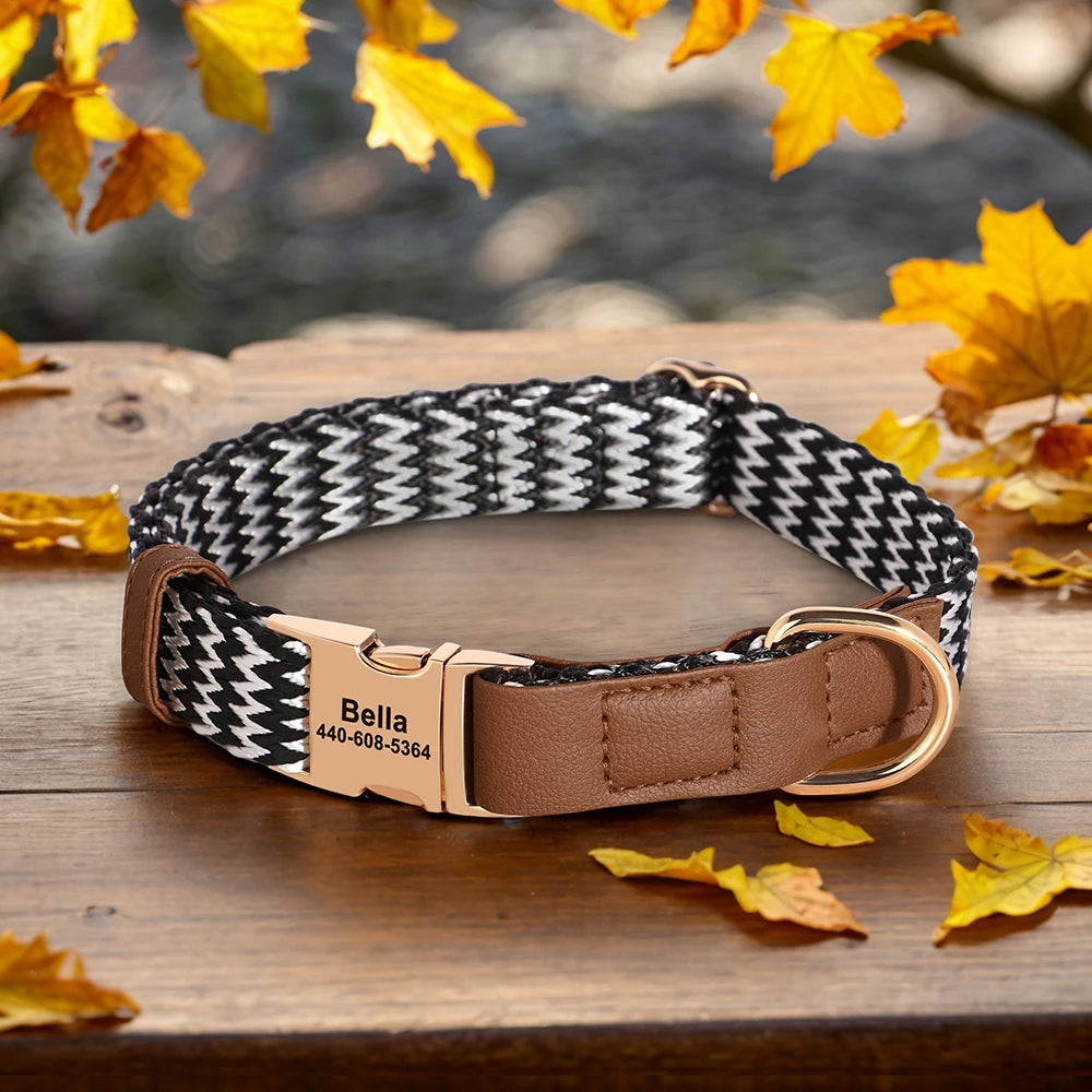 Nylon Dog Collar with Anti-Loss ID Tag