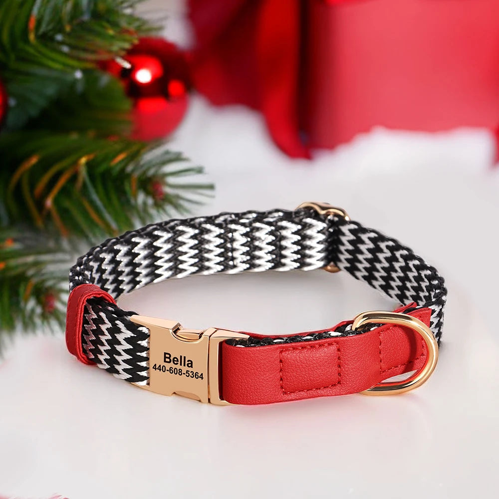 Nylon Dog Collar with Anti-Loss ID Tag