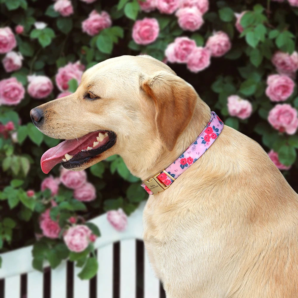 Waterproof PVC Dog Collar