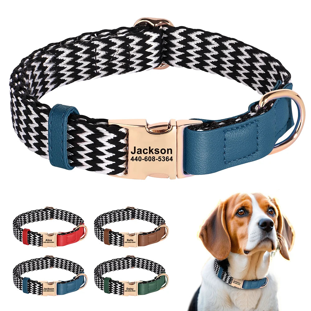 Nylon Dog Collar with Anti-Loss ID Tag