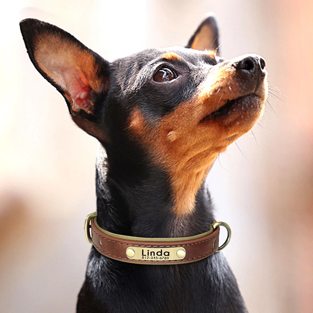 Leather Dog Collar