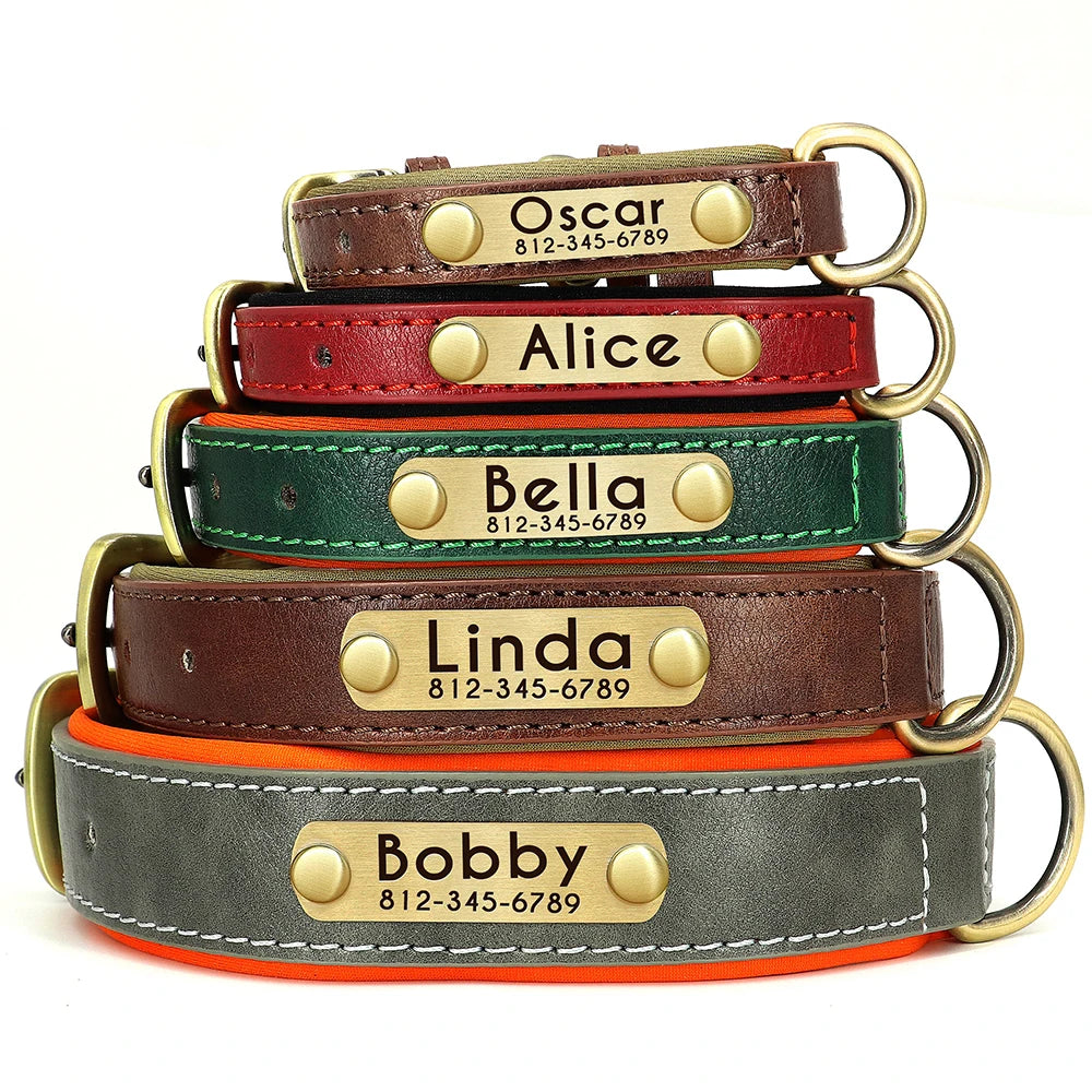Leather Dog Collar