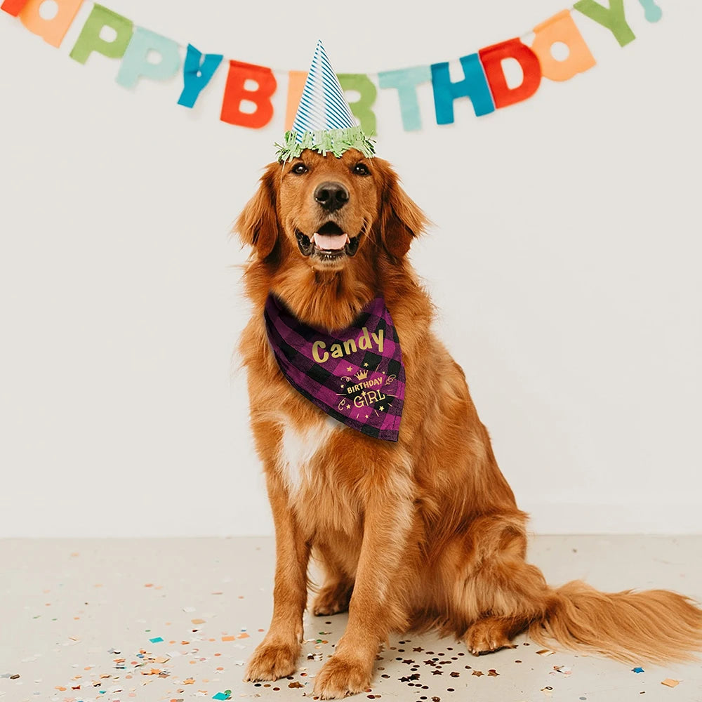 Birthday Bandana for Dogs