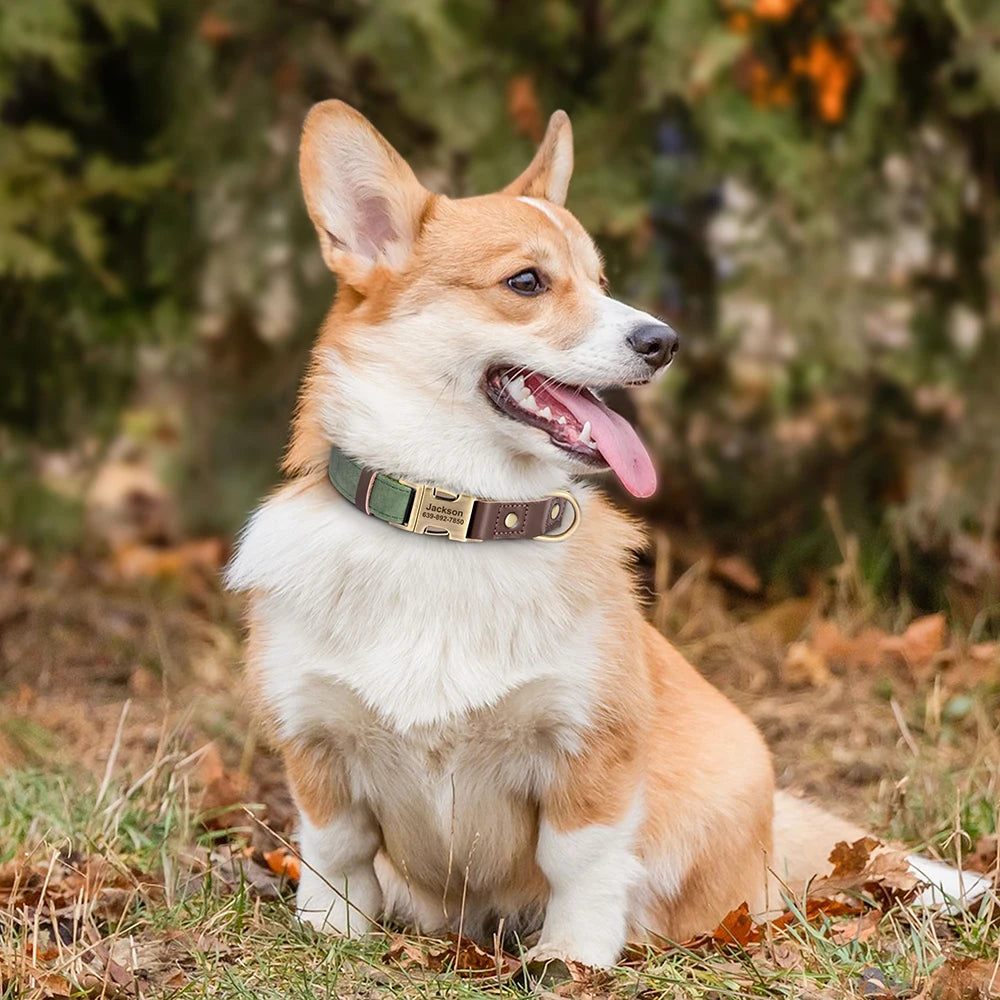 PU Leather Dog Collar