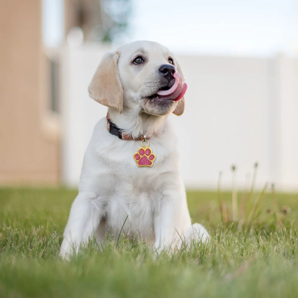 Glitter Paw Pet ID Tag