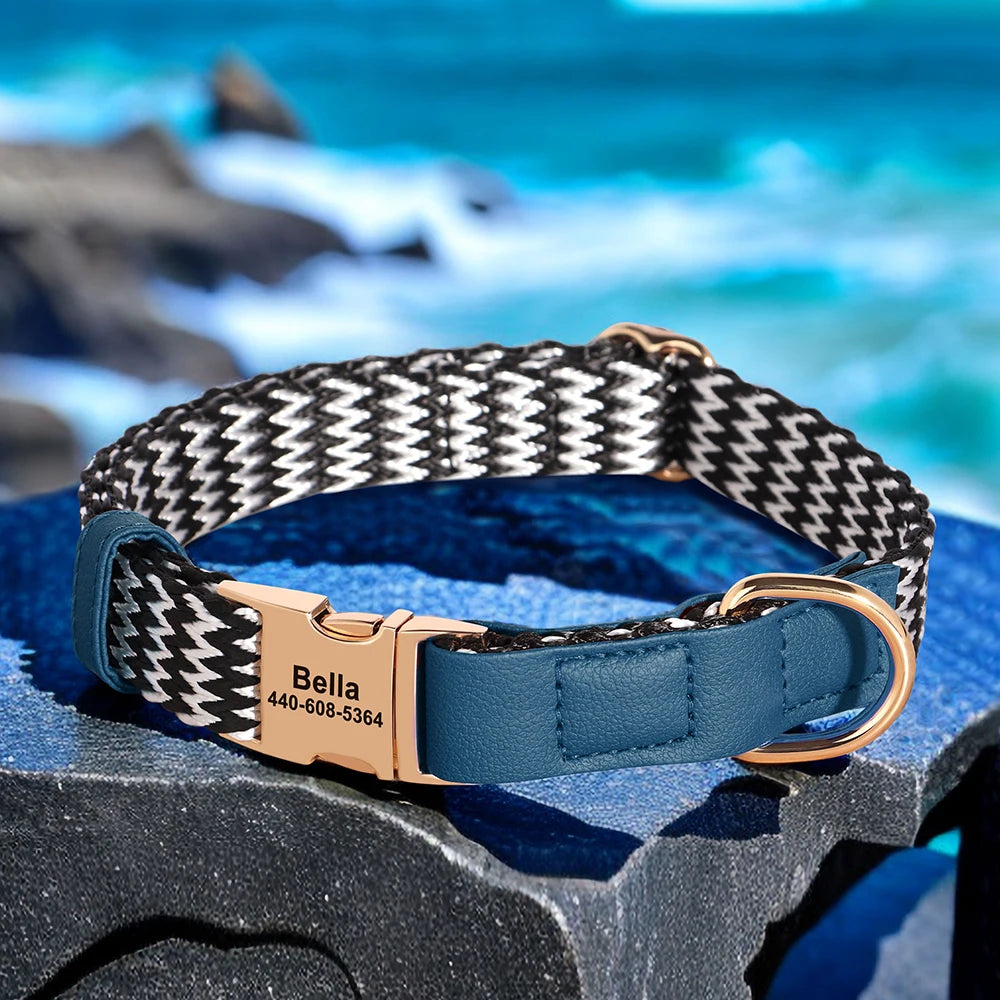 Nylon Dog Collar with Anti-Loss ID Tag
