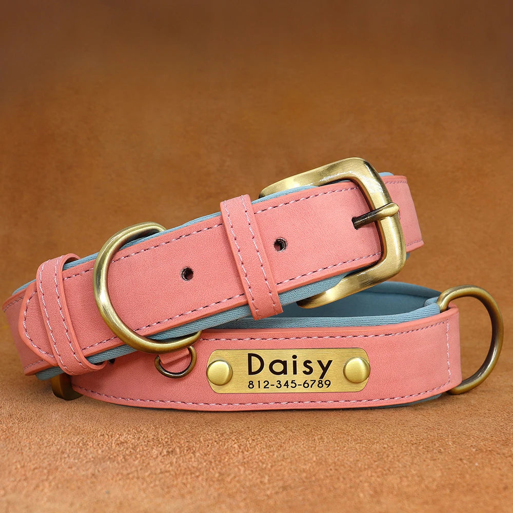 Leather Dog Collar