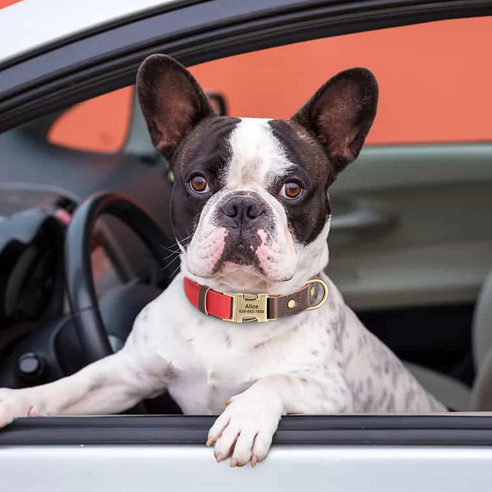 PU Leather Dog Collar
