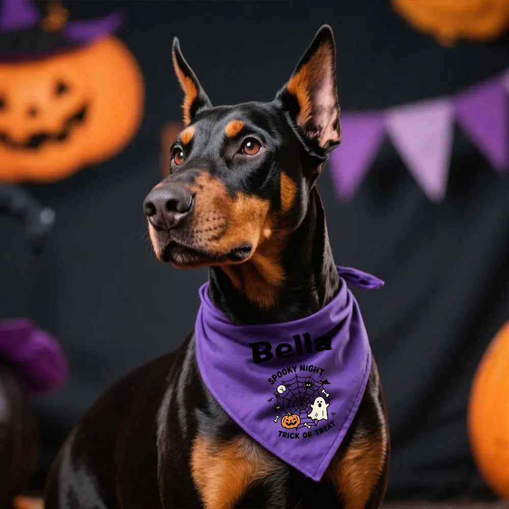 Halloween Bandanas for Pet