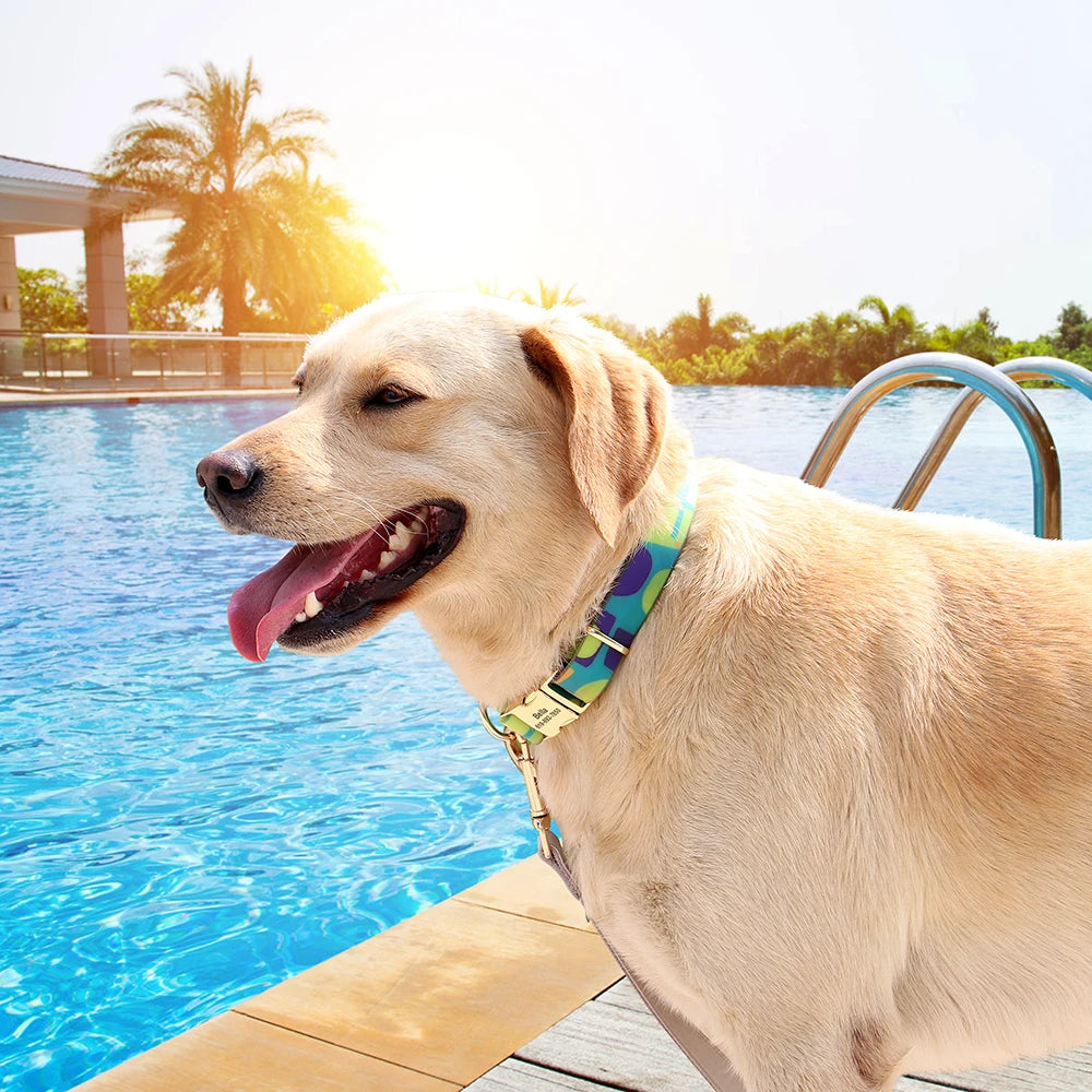 Waterproof PVC Dog Collar