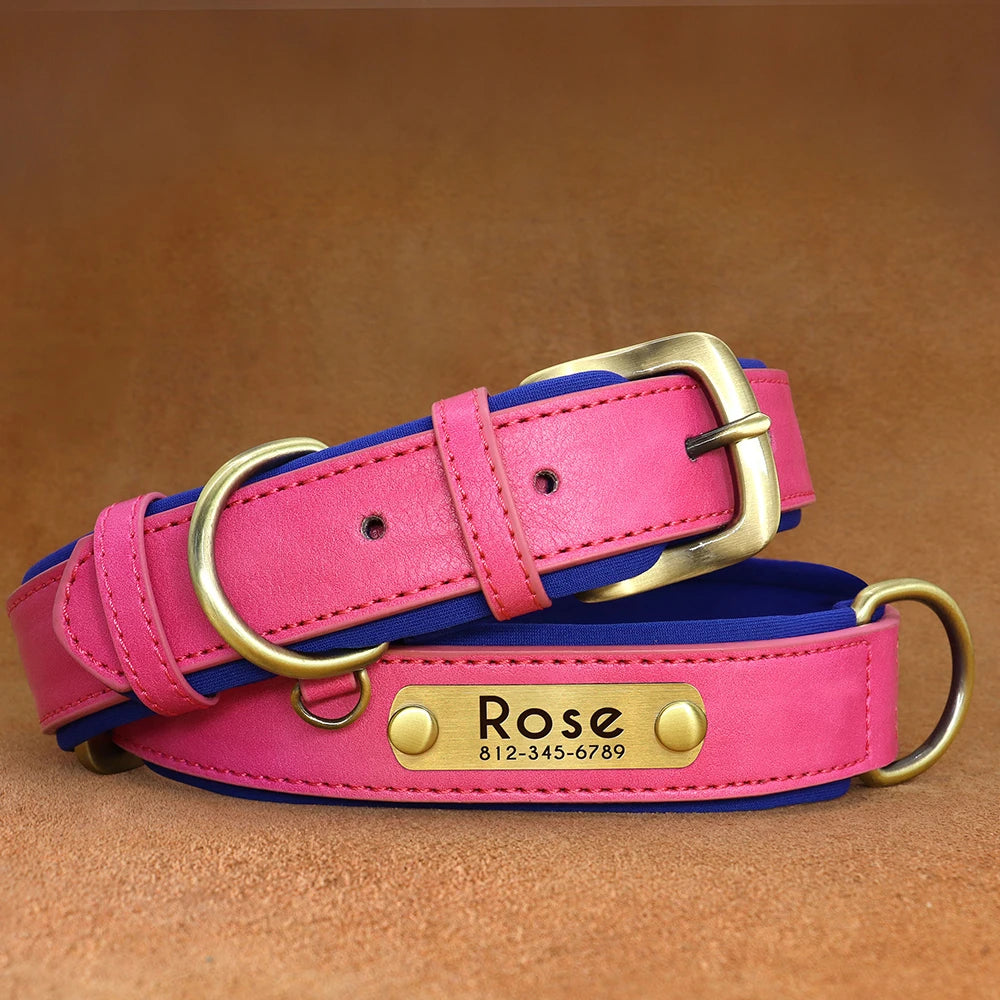 Leather Dog Collar