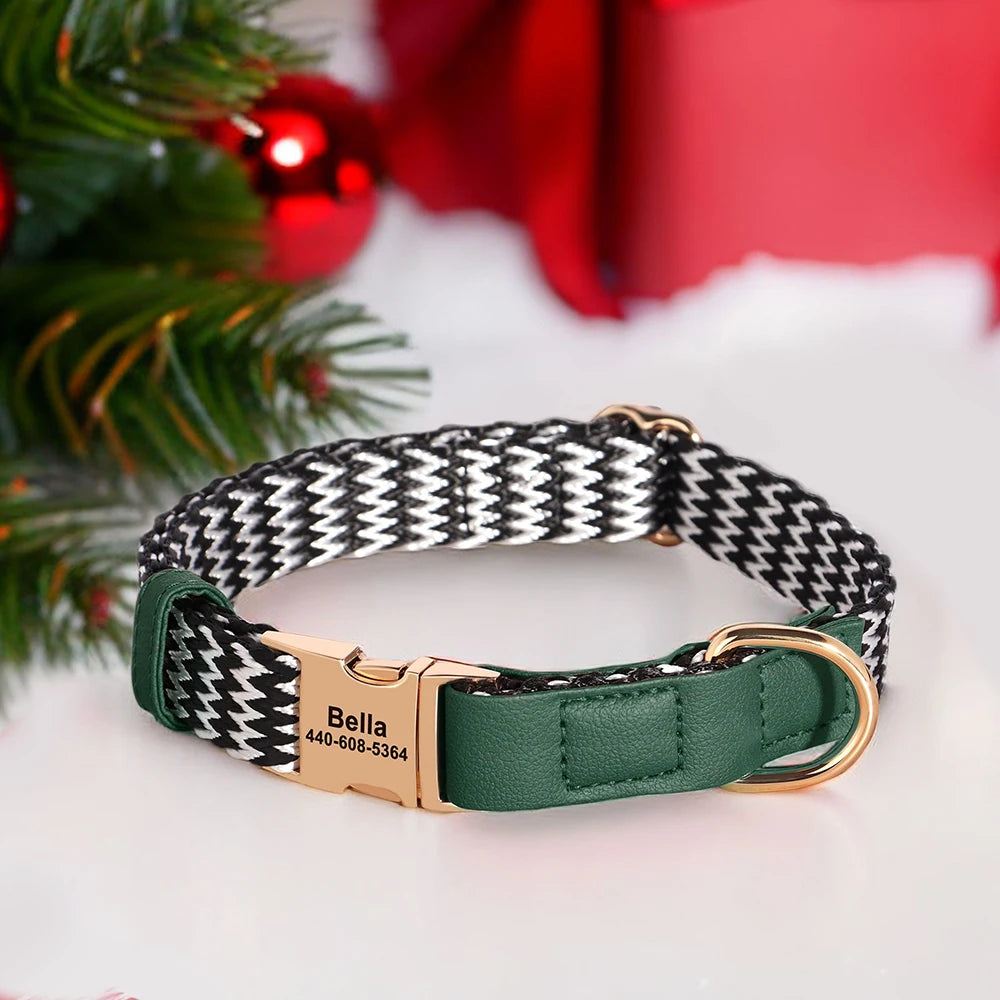 Nylon Dog Collar with Anti-Loss ID Tag