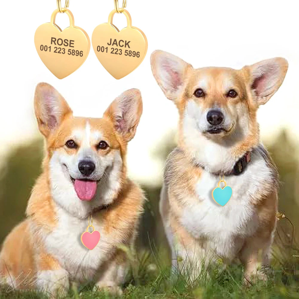 Heart-Shaped Pet ID Tag