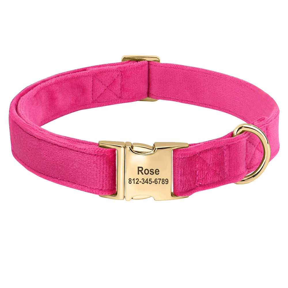 Velvet Dog ID Collar