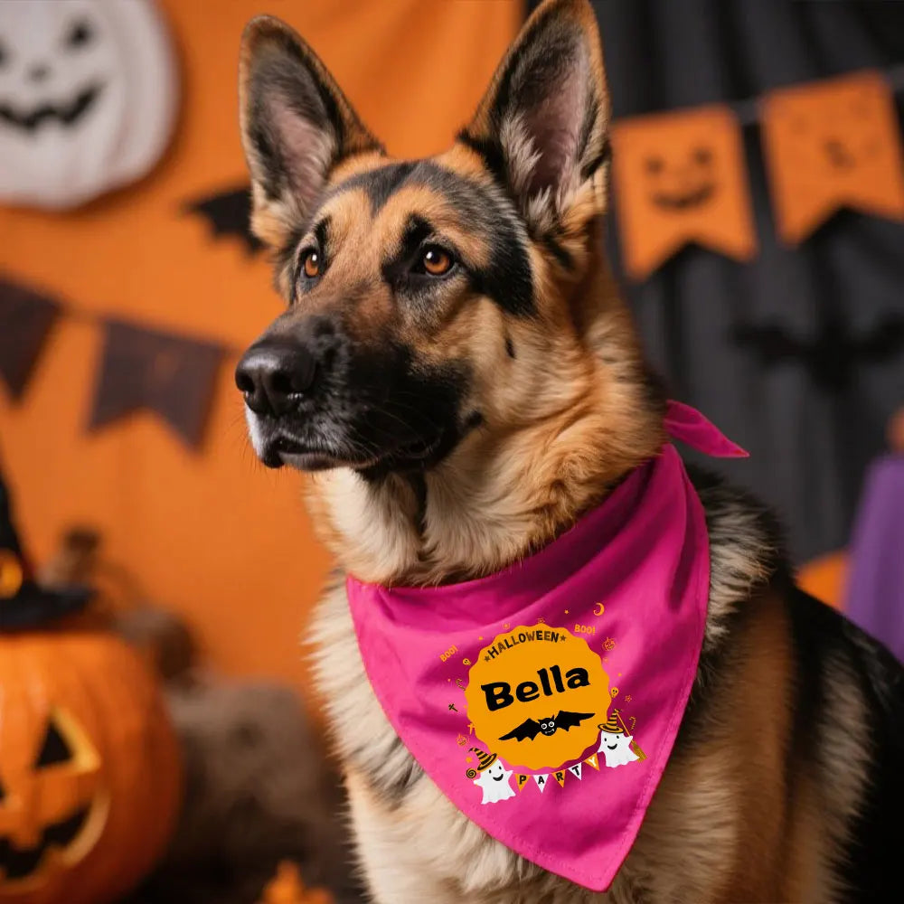 Halloween Bandanas for Pet
