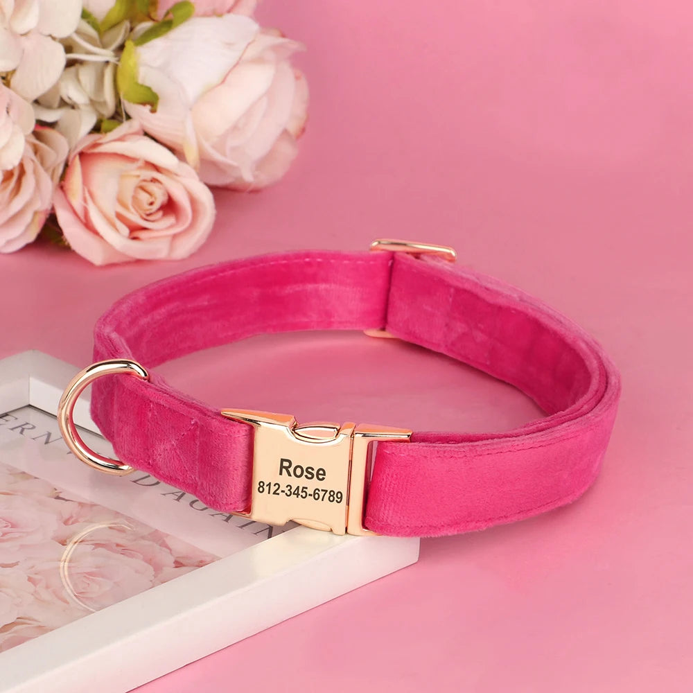 Velvet Dog ID Collar