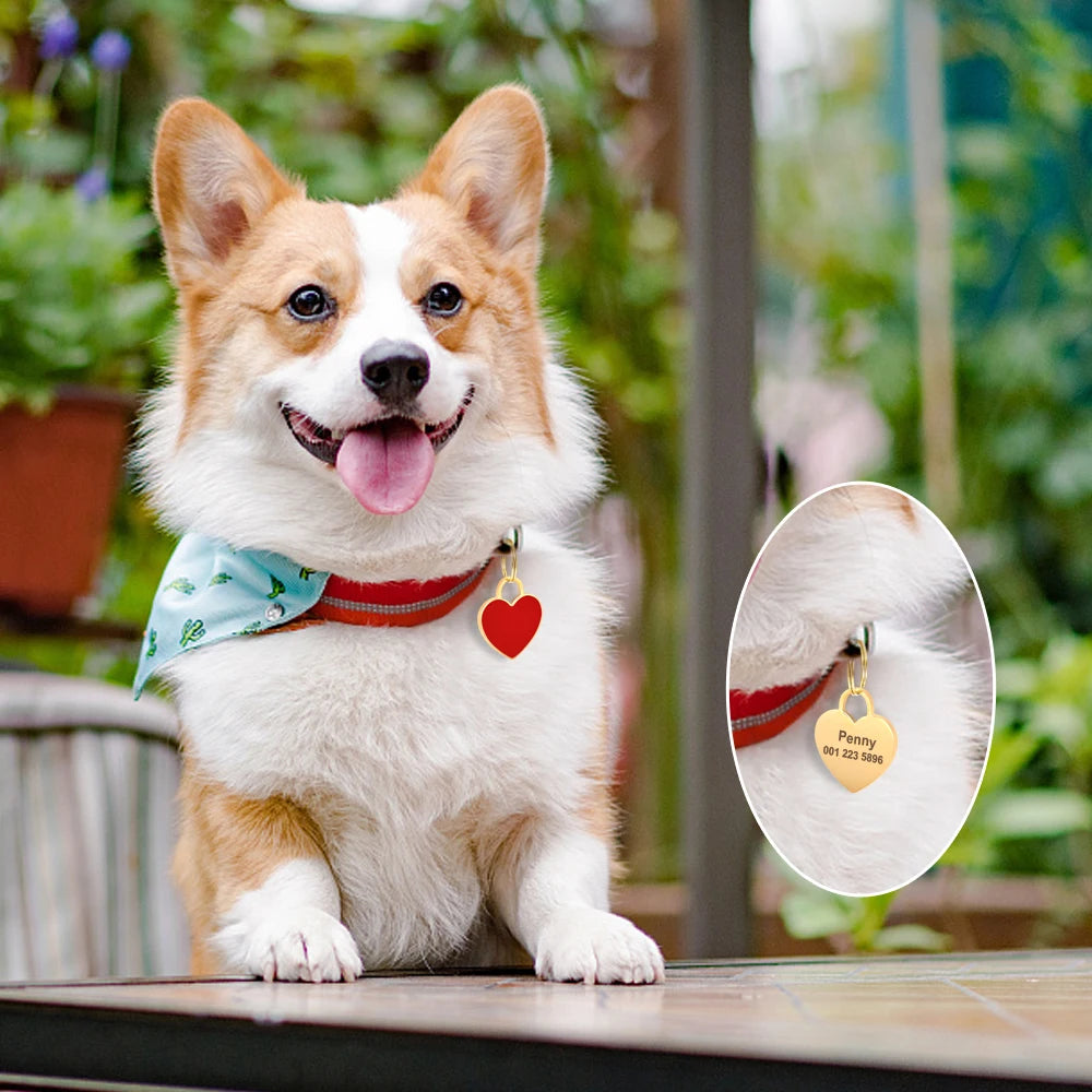 Heart-Shaped Pet ID Tag