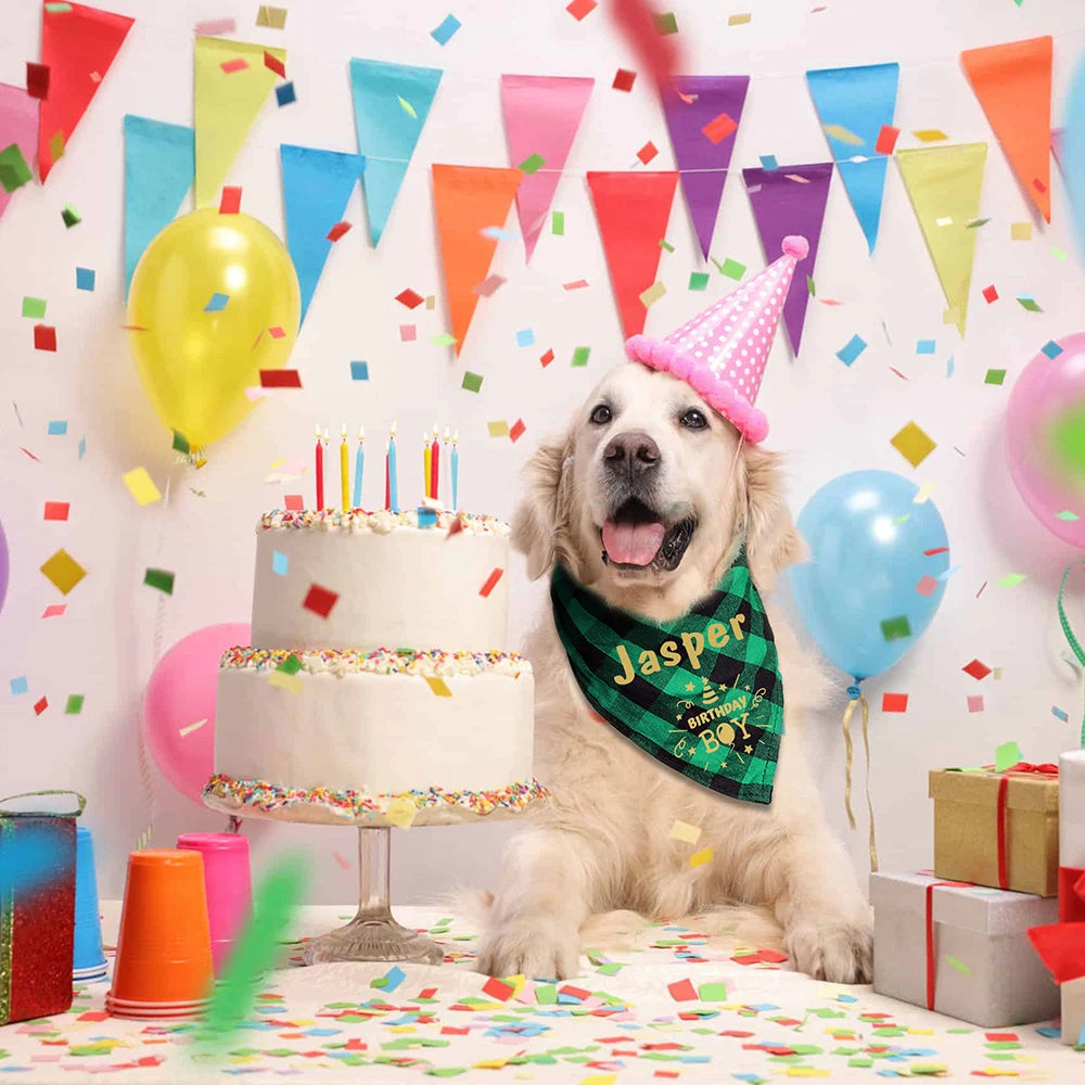 Birthday Bandana for Dogs