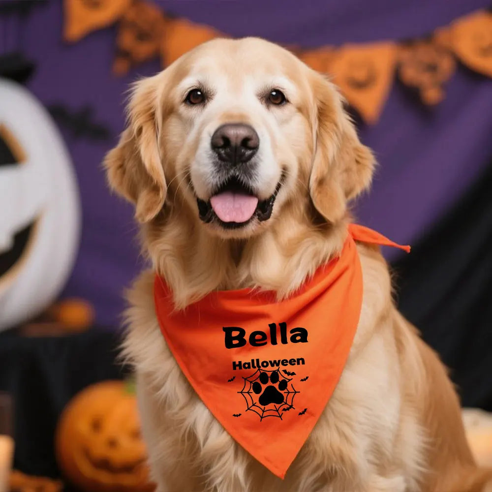 Halloween Bandanas for Pet