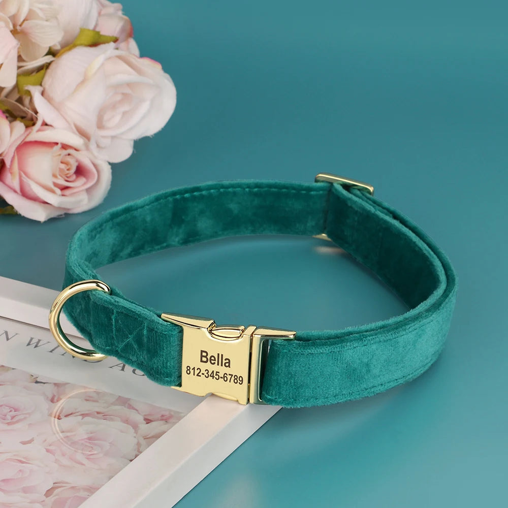 Velvet Dog ID Collar