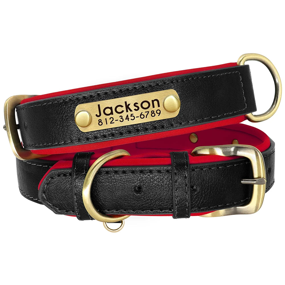 Leather Dog Collar