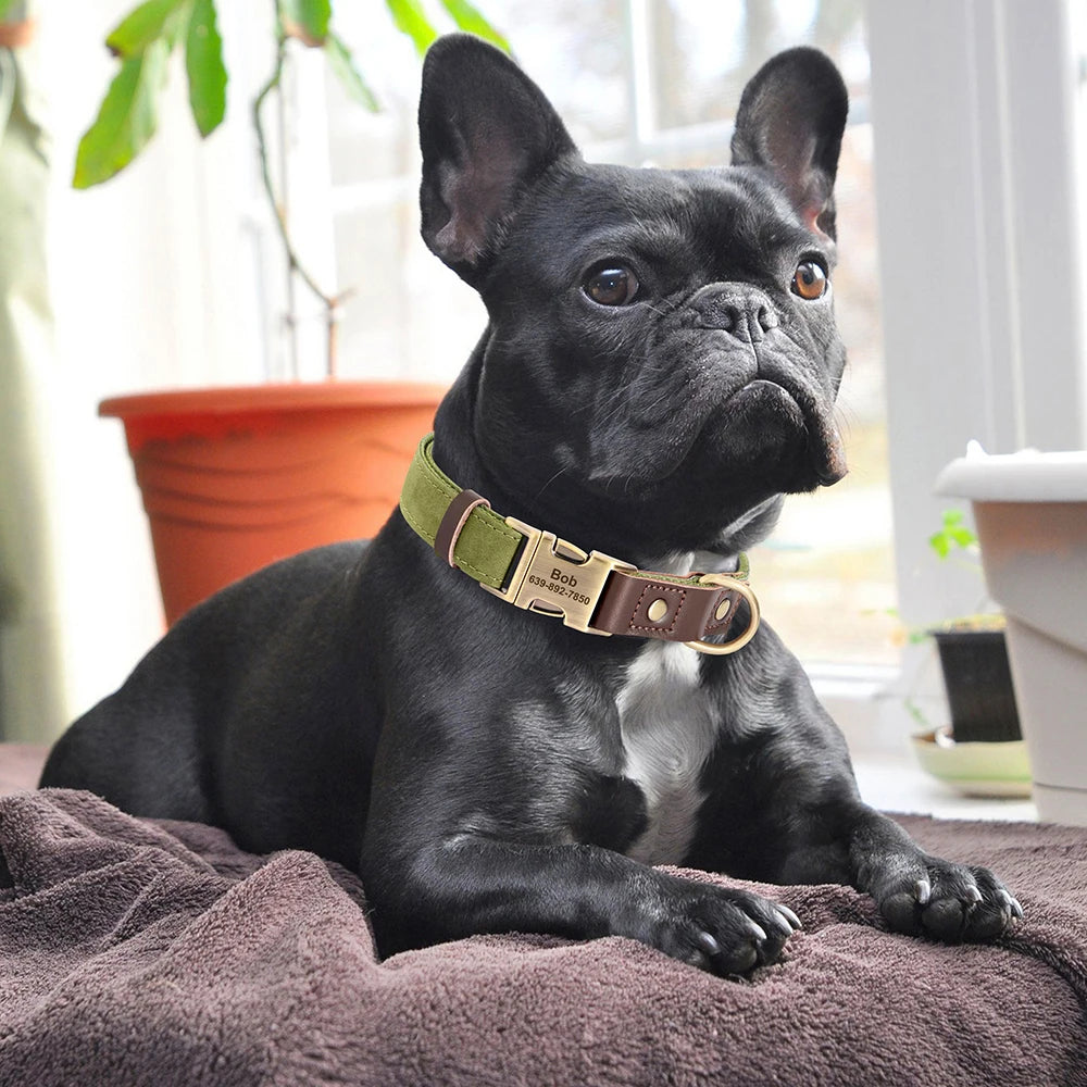 PU Leather Dog Collar